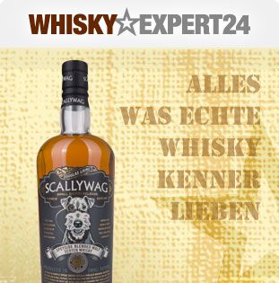 Expert24 